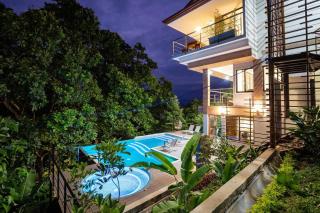 Breathtaking Jungle Views and Abundant Wildlife - 6