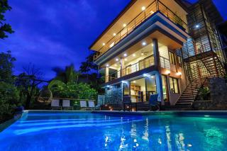 Breathtaking Jungle Views and Abundant Wildlife - 9