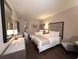 Safi Royal Luxury Centro - 6