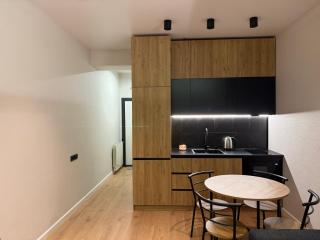 Modern Studio In Didi Dighomi - 9