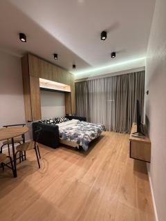Modern Studio In Didi Dighomi - 3