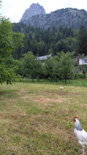 Guests house, Artani - 5