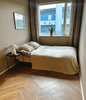 Stylish Reykjavík Family Apt - 3