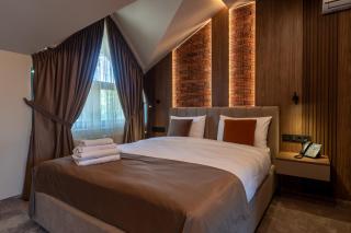 Hotel Chateau Cojusna - 7