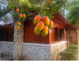 Chalet Completo para Familias Condominio Campestre Privado con Piscinas, wifi, AC - 1