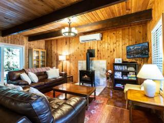 Forest View Chalet - 6