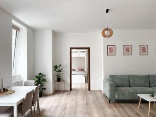 Apartment in Karlovy Vary - 1