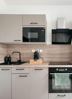 Apartment in Karlovy Vary - Karlovy Vary - 5