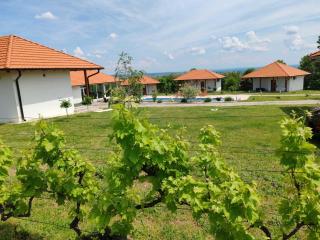 Vinogradi Zmajevački - 7