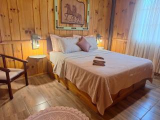 Sítio Recanto da Guarda - Cabana Araucária - 6