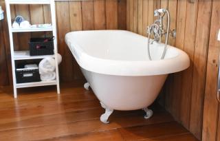 Shy Cottage - 1