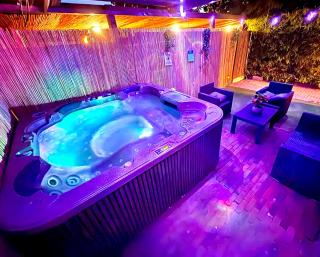 Private wellnes lodge with jacuzzi ,sauna and garden between Amsterdam Haarlem and Schiphol Airport - 7