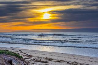Monterey Dune Dream - 6