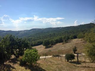 Agriturismo Le Querciole in Val d'Orcia - 7