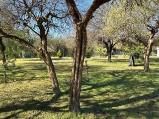 Finca Luz - 8