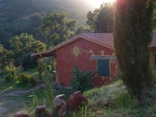 Apartamentos Rurales Candela - Cañamero - 9