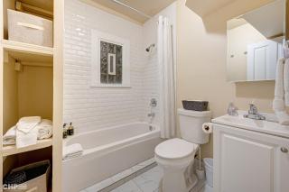 Newly Renovated Studio in the Heart of Pilsen condo - 6