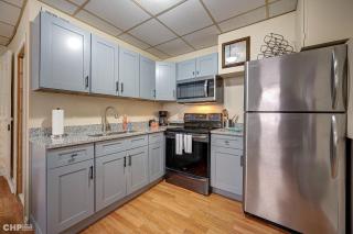 Newly Renovated Studio in the Heart of Pilsen condo - 3