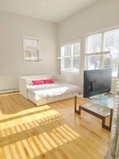 Sunlit Downtown Loft with Private Entry & Patio-1A - 4