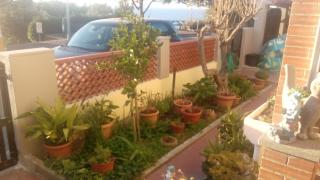 Sole e Mare - San Vincenzo - 5