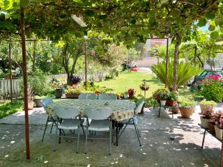 Green Atelier Garden near Kotor - 9