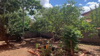 Hostel e Camping Terapia Roots - 8