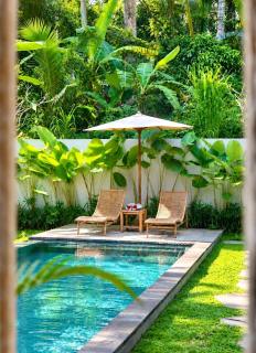 Ubud Forest View Villa with Private Pool & Kitchen - 6