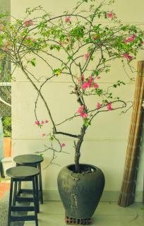 Ngôi nhà bên cạnh bãi biển, NỒM HOME - 7