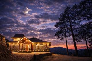 The Morel House - A Forest Retreat - 0