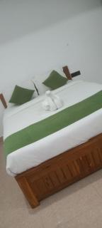 BRITALINA GUEST HOUSEs CALANGUTE BEACH - 3
