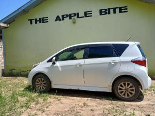 The Apple Bite - 1