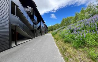Awesome Apartment In Beitostølen With Sauna - 4