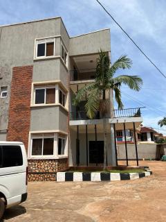 NGO regeneration - 8