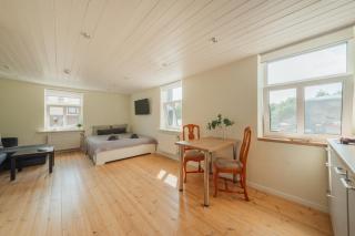 Strautu Studio - Free Parking & Wifi - 9