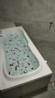 Hotel New Vinay - 1