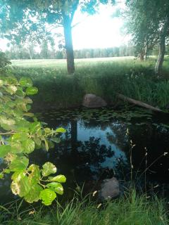 Glampingtält, privat område, 3 mil utanför Örebro - 9