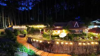 Rừng Thông Villa - Da Lat - 9