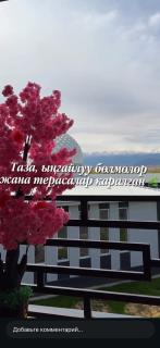 Гостиница Автовокзала - 2
