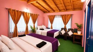 The Himalayan Heaven Homestay, Binsar - 8