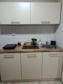 Apartman Sanja-Niš - 8