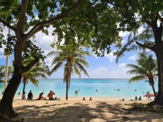 Pereybere Beach One-bedroom - 9