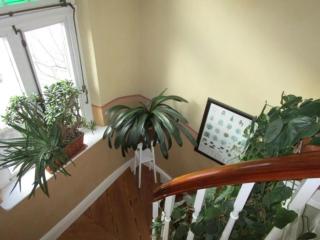 Ferienwohnung Johannis-Nest - 2