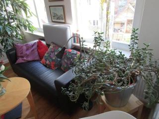 Ferienwohnung Johannis-Nest - 0