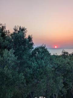 Nea Potidaia Beach House - 7