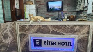 Biter Hotel - 7