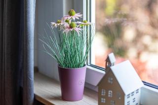 Ferienwohnung an der Bieke - 8
