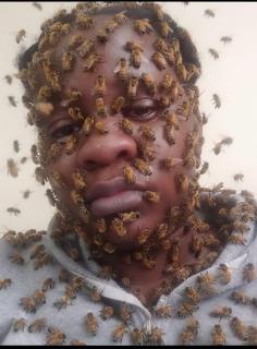 traditional healer in pretoria - 0