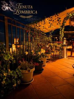 Tenuta Lombrica - 6