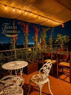 Tenuta Lombrica - 7