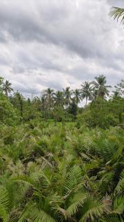Relung Villas Pakem Kaliurang - Near Merapi, Yogyakarta - 8